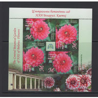 Флора цветы Беларусь 2014 Центральный ботанический сад "Георгина"Диадема"