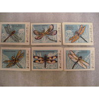 Спичечные этикетки:Стрекозы.Ревпуть