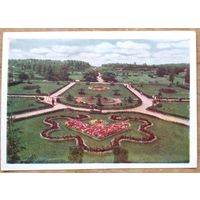 Минск. Ботанический сад. 1959 г. Чистая.