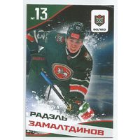 Радэль Залалтдинов / Коллекция "Ак Барс Казань 2025-206"