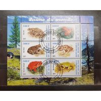 Бурунди. 2011 год. Фауна. Земноводные. Лягушки (1083)