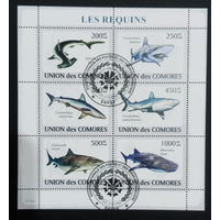 ФАУНА РЫБЫ МОРСКИЕ ОБИТАТЕЛИ    БЛОК  сто