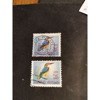 ЮАР 1961  2 м  птицы