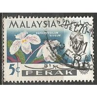 Малайские штаты(Перак). Цветы. Орхидея Пафиопедиум. 1965г. Mi#117..