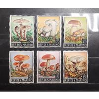 Сан-Марино. 1967 год. Флора. Грибы (965)