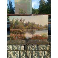 Картина Пейзаж(лес,водоём) 1987г. художник.Толочко.С.С.