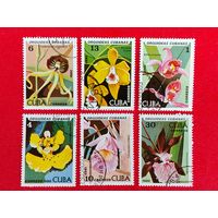Куба. Орхидеи. ( 6 марок ) 1980 года. 4-5.