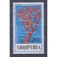 [2455] Албания 1975. Морская фауна.Кораллы и другие.20к. Гашеная марка.