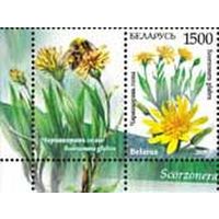 Марки "Чернокорень голый + купон", "Кураслеп лесной + купон"