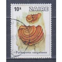 [2155] Заир 1979. Грибы. Гашеная марка.