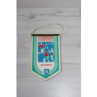 Вымпел, волейбол.