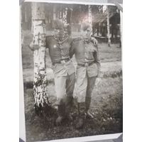 Фото в коллекцию