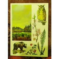 Открытка "Центрально-лесной заповедник"