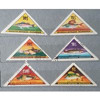 Монголия рыбы 6шт