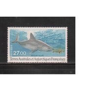 Французские Антарктические Территории-1998(Мих.375) , ** , Морская Фауна,Акула