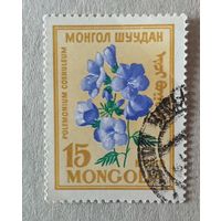 Цветы.