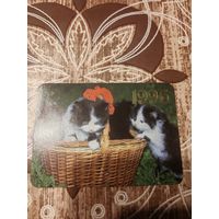 Календарик,коты,1996