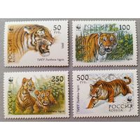 Россия, 1993. Тигры, серия
