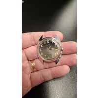 С 1 рубля 3 дня! Качнешь потикают и становятся.