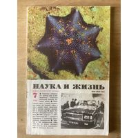 НАУКА И ЖИЗНЬ.7,1981