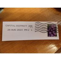 2020 США самоклейка на вырезке флора цветы архидея (1-8)