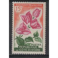 Кот-д'Ивуар Цветы