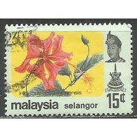 Малайские штаты(Селангор). Цветы. Гибискус. 1971г. Mi#116.