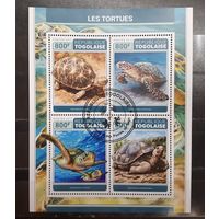 Того. 2017 год. Фауна. Рептилии. Черепахи (1126)