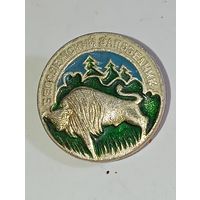 Значек Беловежской заповедник . С рубля .