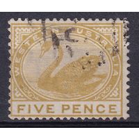 151.Aust. Великобритания. Австралийские штаты. Западная Австралия. Чёрный лебедь. Стандарт. 1890/93 гг. 5p. Mi.#38.