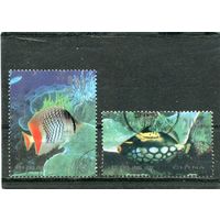 Китай. Морская фауна. Рыбы