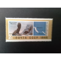 Ссср 1966. Остров медный.
