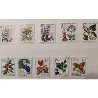 РАСПРОДАЖА КОЛЛЕКЦИИ. Польша, марки "флора"