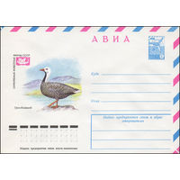 Художественный маркированный конверт СССР N 12927 (05.07.1978) АВИА  Охраняемые животные  фауны СССР  Гусь-белошей