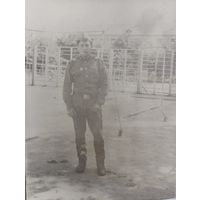 Фото в коллекцию