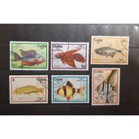 Куба. 1977 год. Фауна. Рыбы (24)