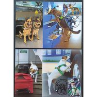 Беларусь 2021 КМ служебмные собаки таможни.