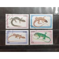 Куба. 1994 год. Фауна. Пресмыкающиеся. Ящерицы, хамелеоны (1086)
