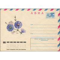 Художественный маркированный конверт СССР N 10803 (09.09.1975) АВИА  Цикорий