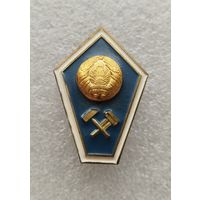 Знак об окончании техникума Беларусь. Ромб. Поплавок. #-II-08/9