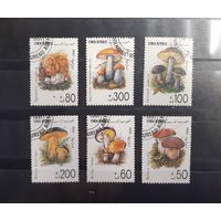 Йемен. 1990 год. Флора. Грибы (94)