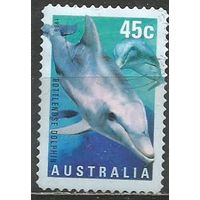 Австралия. Дкльфин. 1998г. Mi#1772.