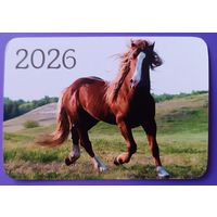 Лошадь. Календарик, глянец, 2026. Траско