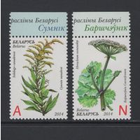 Флора Беларусь 2014 Инвазивные растения. Золотарник канадский и Борщевик Сосновского