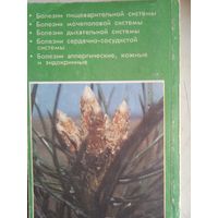 Лечение и профилактика растительными средствами 2