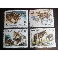 Польша 1985 Волки