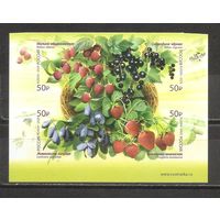 ФФ3 Россия 2020 Ягоды самоклейки