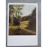 1955. Невежин. Дорожка