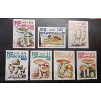 Камбоджа. 1985 год. Флора. Грибы (96)