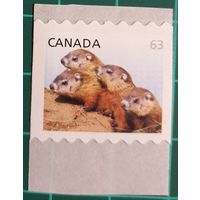 2013 Фауна - детская дикая природа  - Канада